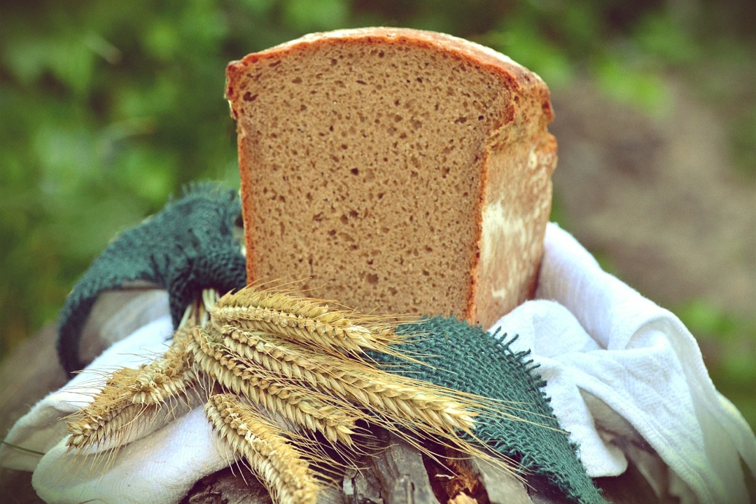 Barley bread