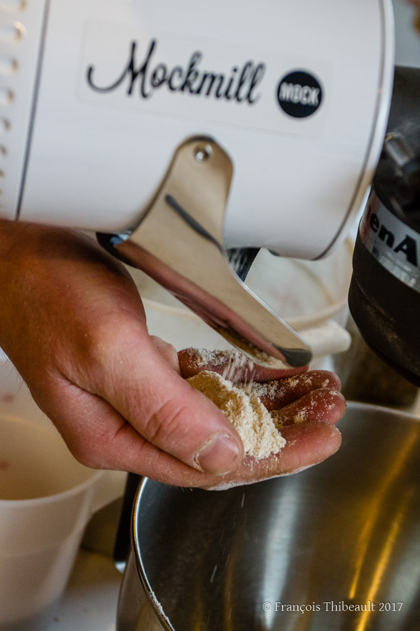 Fresh stone-ground flour out of the Mockmill