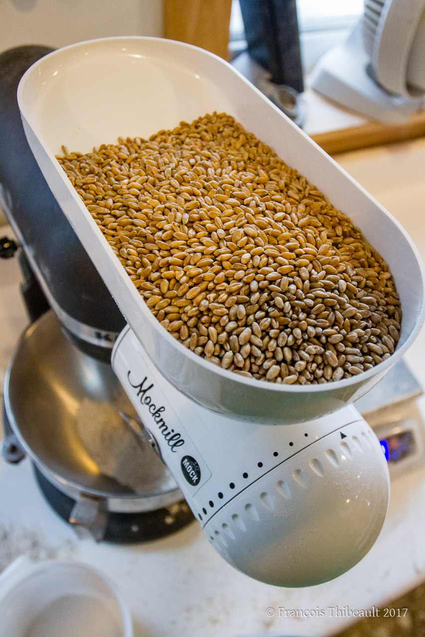 Testing the Mockmill with Andrew Heyn at Elmore Mountain Bread