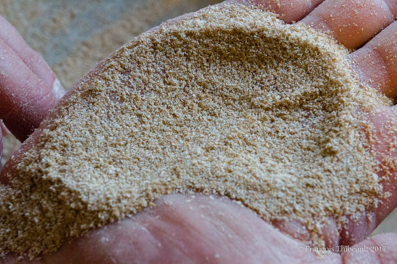 Testing the Mockmill with Andrew Heyn at Elmore Mountain Bread